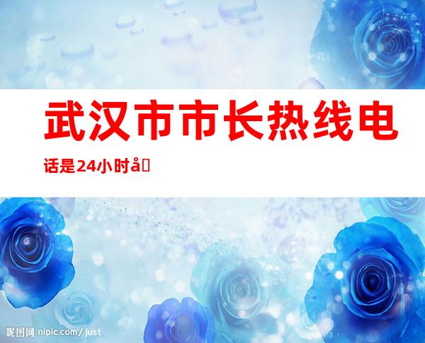 武汉市市长热线电话是24小时吗（武汉市市长热线投诉电话是多少）