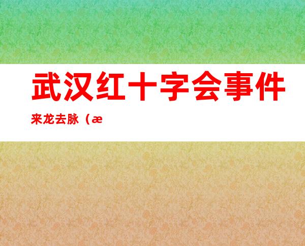 武汉红十字会事件来龙去脉（武汉红十字会医院是三甲吗）