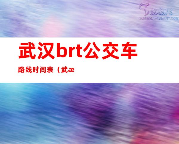 武汉brt公交车路线时间表（武汉brt怎么坐怎么买票）