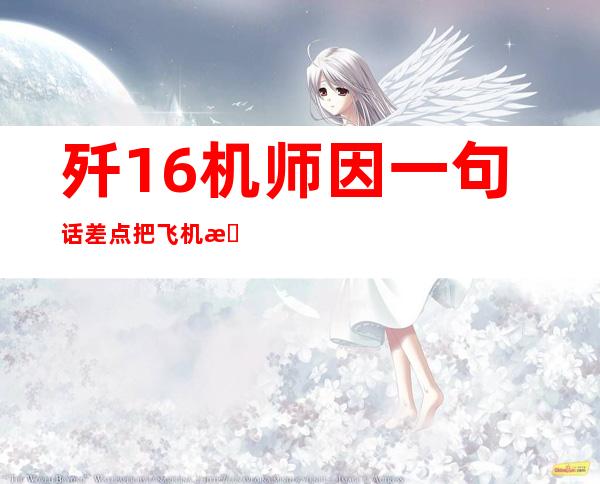 歼16机师因一句话差点把飞机拆了 避免重大事故(图)