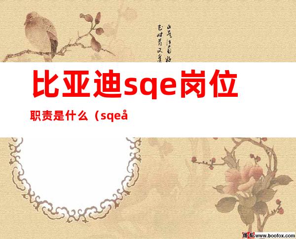 比亚迪sqe岗位职责是什么（sqe岗位职责是什么ppt）