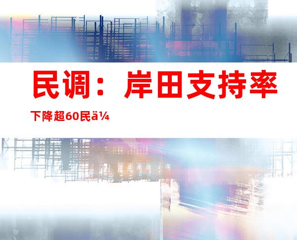 民调：岸田支持率下降 超60%民众不认可其物价措施