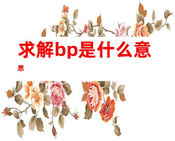 求解bp是什么意思