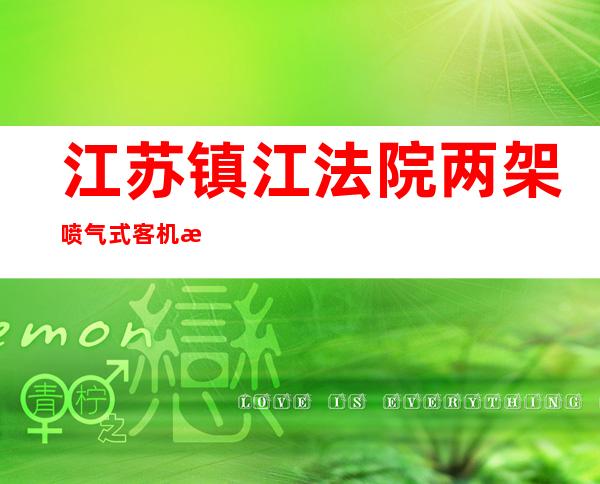 江苏镇江法院两架喷气式客机流拍，降价131万再“上架”