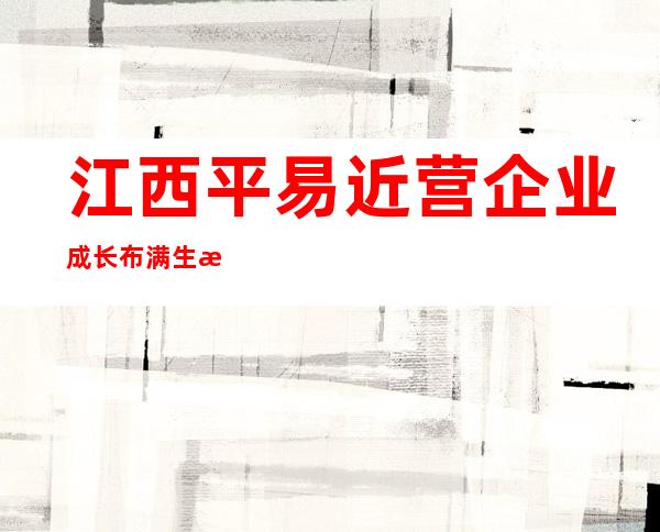 江西平易近营企业成长布满生气希望活气 平易近营企业达112万家