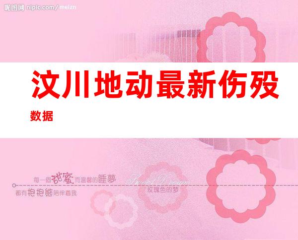 汶川地动 最新伤殁数据