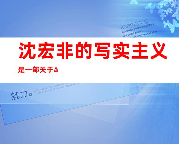 沈宏非的写实主义是一部关于什么内容的书（沈宏非写食主义全文阅读）