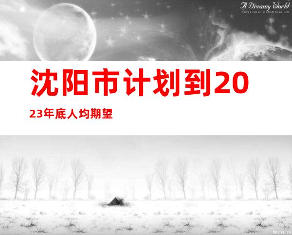 沈阳市计划到2023年底人均期望寿命达到81.59岁