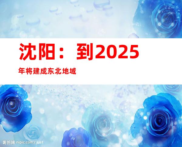 沈阳：到2025年将建成东北地域功能完美、辐射动员力强的首要中间都会