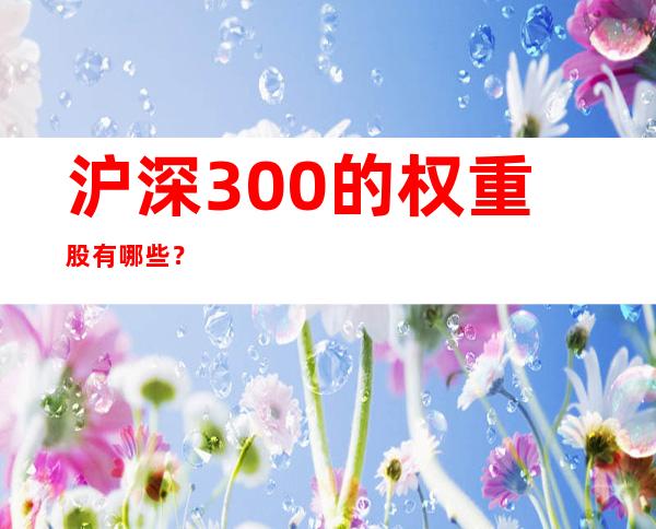 沪深300的权重股有哪些？