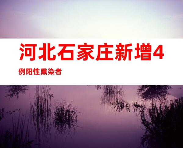 河北石家庄新增4例阳性熏染者 均为断绝点检出