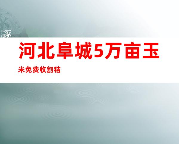 河北阜城5万亩玉米免费收割秸秆收受接管 助农节流500余万元