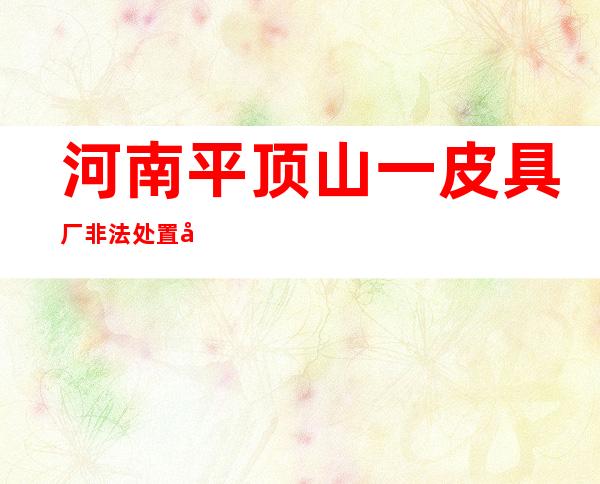 河南平顶山一皮具厂非法处置危险废物 21人被追责问责