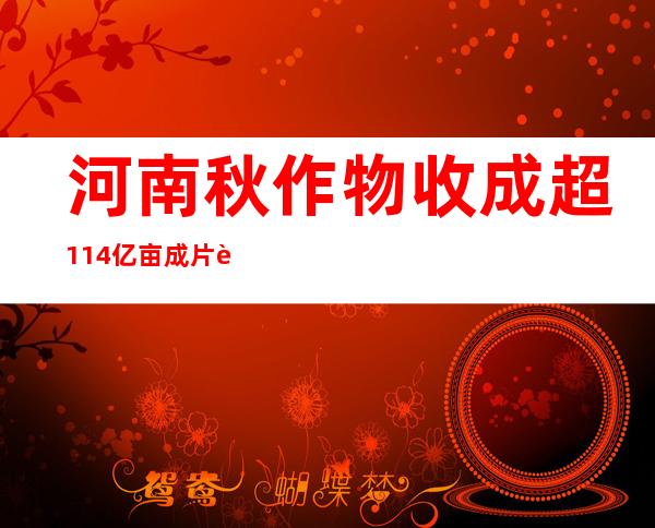 河南秋作物收成超1.14亿亩 成片蔬菜陆续迎来收成