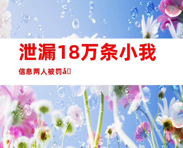 泄漏18万条小我信息 两人被罚公益诉讼赔偿金4万余元