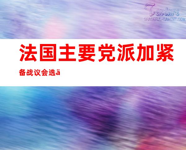 法国主要党派加紧备战议会选举第二轮投票