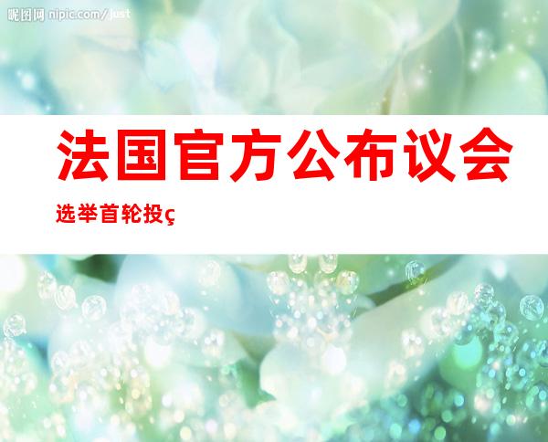 法国官方公布议会选举首轮投票结果 执政党阵营得票率居首