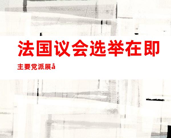 法国议会选举在即 主要党派展开竞选造势冲刺