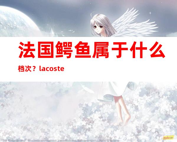 法国鳄鱼属于什么档次？lacoste算几线品牌