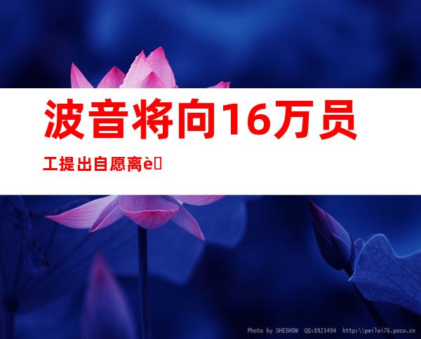 波音将向16万员工提出自愿离职计划,波音自愿离职计划乱七八糟