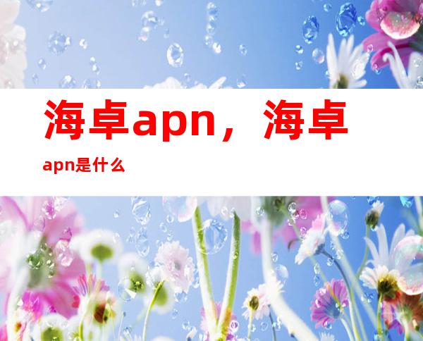 海卓apn，海卓apn是 什么