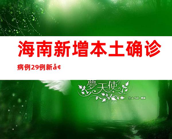 海南新增本土确诊病例29例 新增本土无症状感染者62例