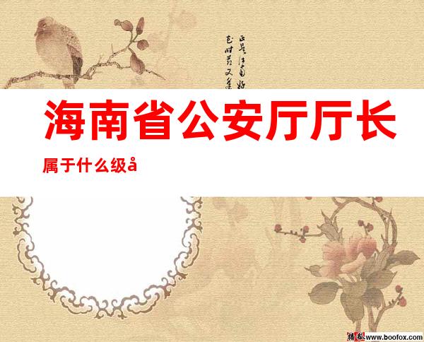 海南省公安厅厅长属于什么级别——海南省公安厅厅长大漠叔叔