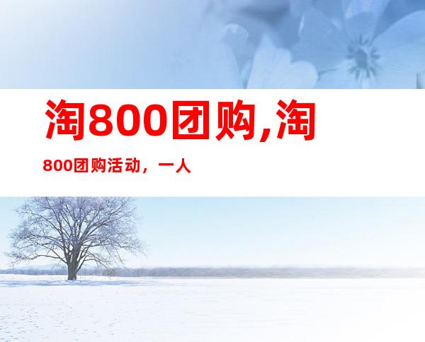 淘800团购,淘800团购活动，一人拼团，全程0元购！