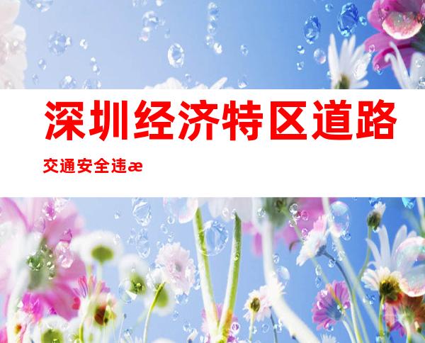 深圳经济特区道路交通安全违法行为处罚条例第12条规定_深圳经济特区道路交通安全违法行为处罚条例