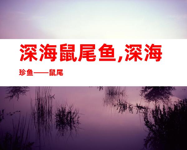 深海鼠尾鱼,深海珍鱼——鼠尾鱼