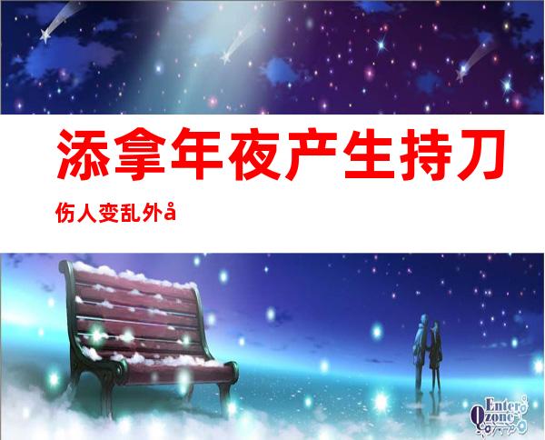 添拿年夜 产生 持刀伤人变乱外发馆提示 外国国民 注重平安 