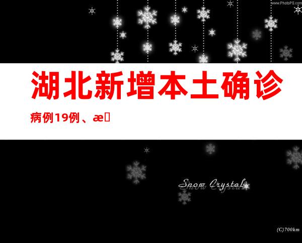 湖北新增本土确诊病例19例、本土无症状感染者658例