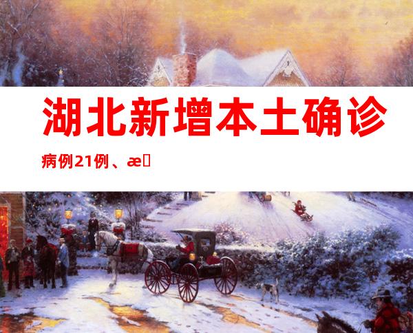 湖北新增本土确诊病例21例、本土无症状感染者642例