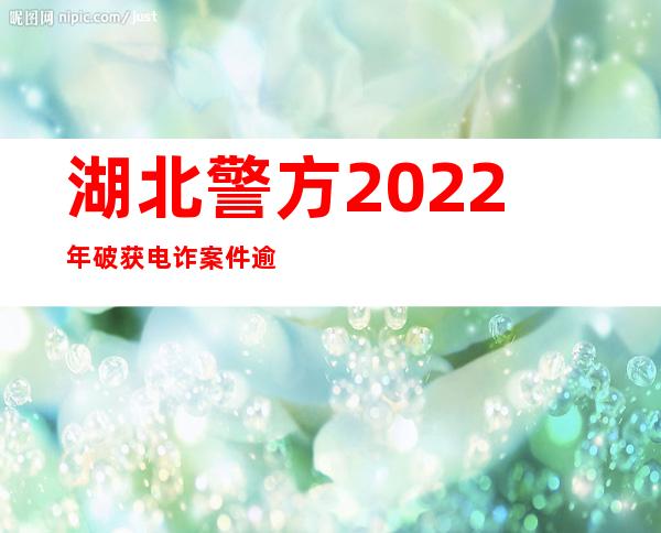 湖北警方2022年破获电诈案件逾2万起