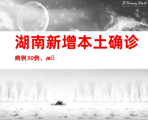 湖南新增本土确诊病例30例、本土无症状感染者317例