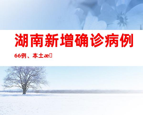 湖南新增确诊病例66例、本土无症状感染者426例