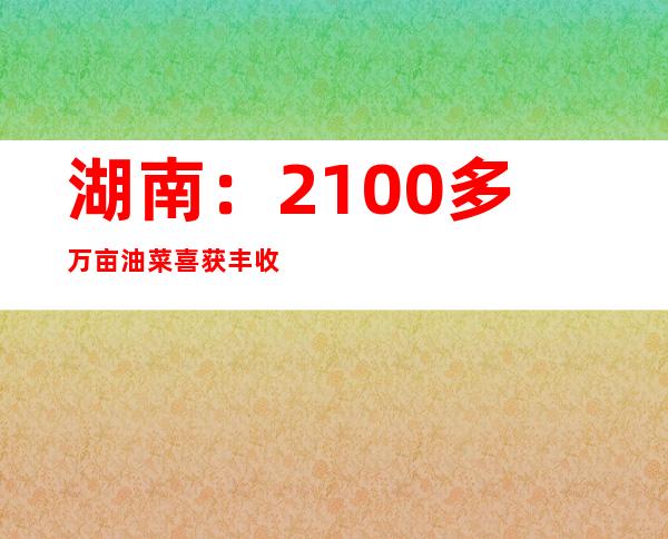 湖南：2100多万亩油菜喜获丰收