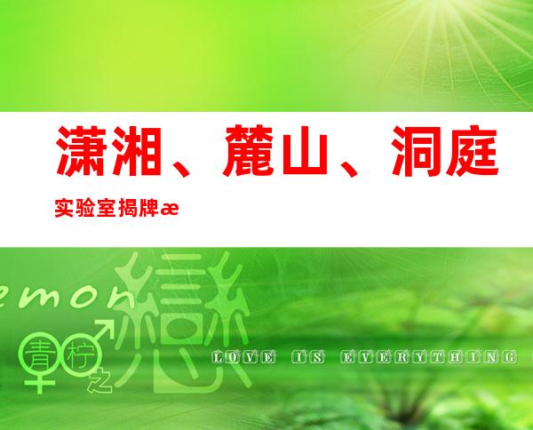 潇湘、麓山、洞庭实验室揭牌  欲打造国际先进实验室