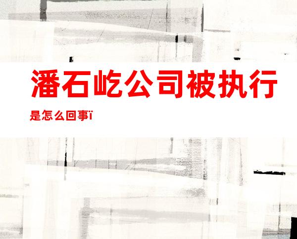 潘石屹公司被执行是怎么回事？潘石屹目前有多少资产？潘石屹个人简介及财富排名