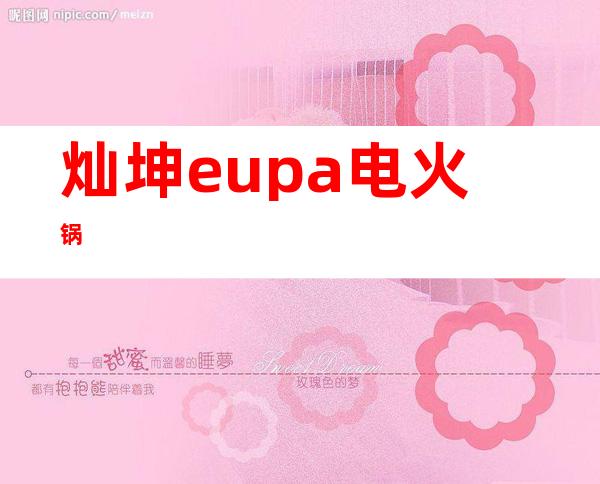 灿坤eupa电火锅