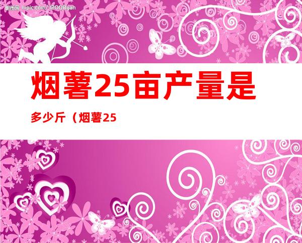 烟薯25亩产量是多少斤（烟薯25红薯品种介绍）