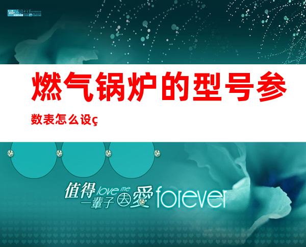 燃气锅炉的型号参数表怎么设置（燃气锅炉的型号WNS20-1.27-Q）