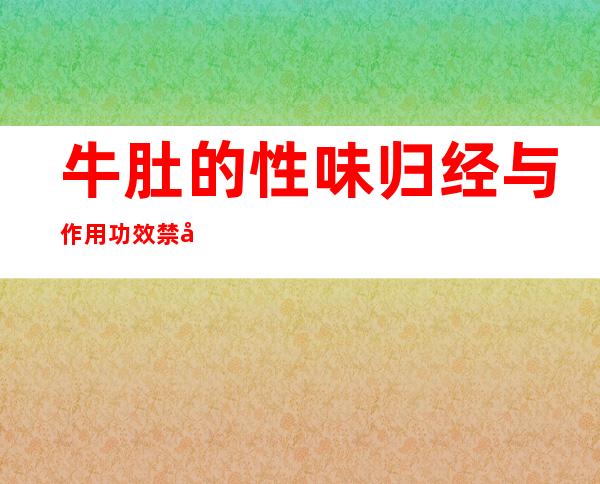 牛肚的性味归经与作用功效禁忌_营养价值与成分药理