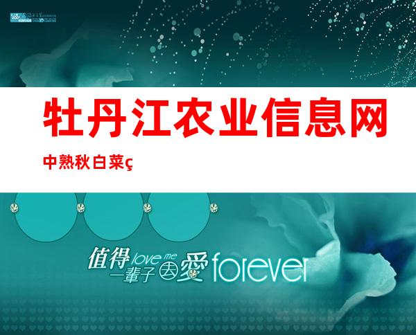 牡丹江农业信息网中熟秋白菜种子品种（牡丹江农业信息网早熟秋白菜种子品种）