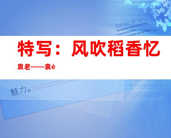 特写：风吹稻香忆袁老——袁隆平逝世一周年的墓前追思