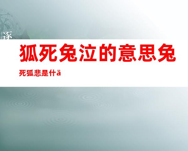 狐死兔泣的意思  兔死狐悲是什么意思 _狐狸