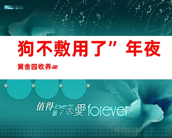 狗不敷用了”年夜黉舍园收养流离动物不只必要爱心