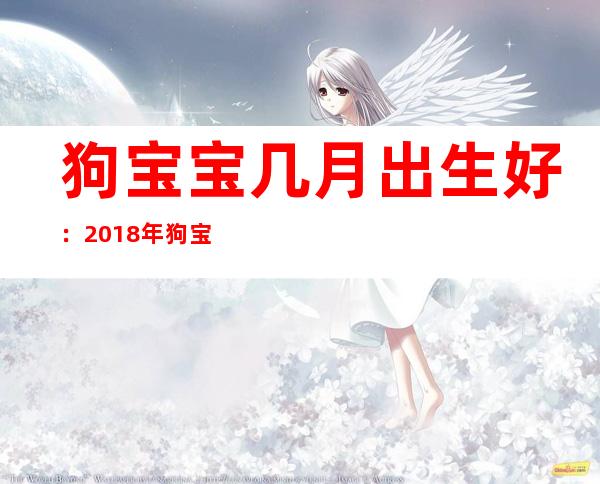 狗宝宝几月出生好：2018年狗宝宝几月出生最好