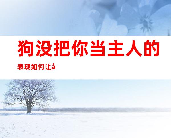 狗没把你当主人的表现 如何让它意识到自己的错误——狗没把你当主人的表现狗睡在脚底下