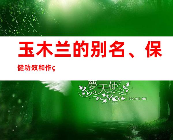 玉木兰的别名、保健功效和作用作用_玉木兰的食疗疗法和特点